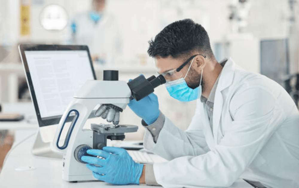 The Role of Medical Laboratories in Infectious Disease Testing